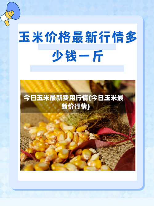 今曰玉米最新费用行情(今日玉米最新价行情)