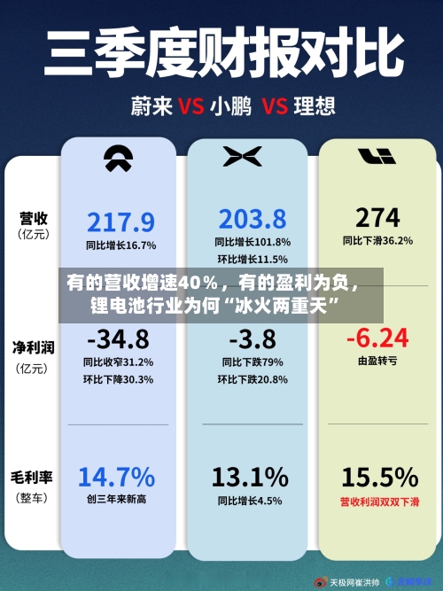 有的营收增速40％，有的盈利为负，锂电池行业为何“冰火两重天”