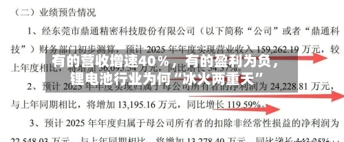 有的营收增速40％，有的盈利为负，锂电池行业为何“冰火两重天	”-第2张图片
