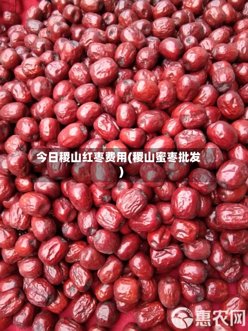 今日稷山红枣费用(稷山蜜枣批发)-第2张图片