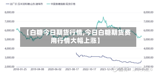 【白糖今日期货行情,今日白糖期货费用行情大幅上涨】-第3张图片
