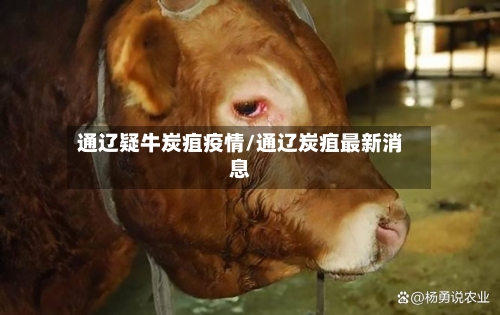 通辽疑牛炭疽疫情/通辽炭疽最新消息-第2张图片