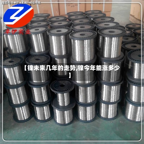 【镍未来几年的走势,镍今年能涨多少】-第3张图片