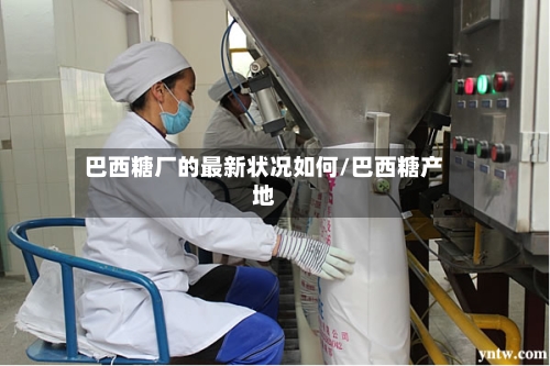 巴西糖厂的最新状况如何/巴西糖产地