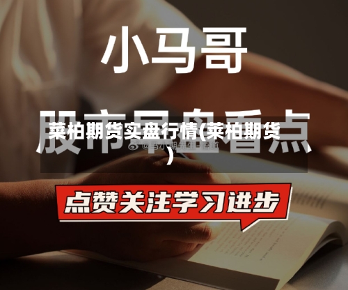 菜柏期货实盘行情(莱柏期货)-第2张图片