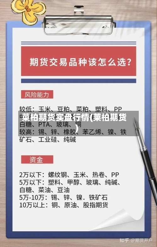菜柏期货实盘行情(莱柏期货)-第3张图片