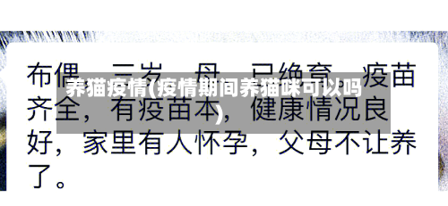 养猫疫情(疫情期间养猫咪可以吗)-第2张图片