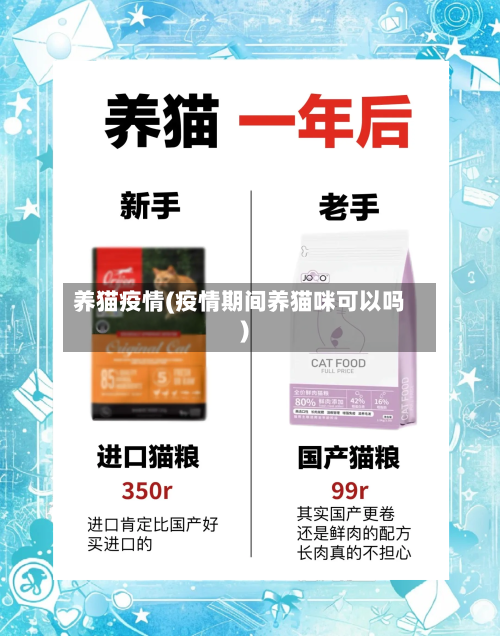 养猫疫情(疫情期间养猫咪可以吗)