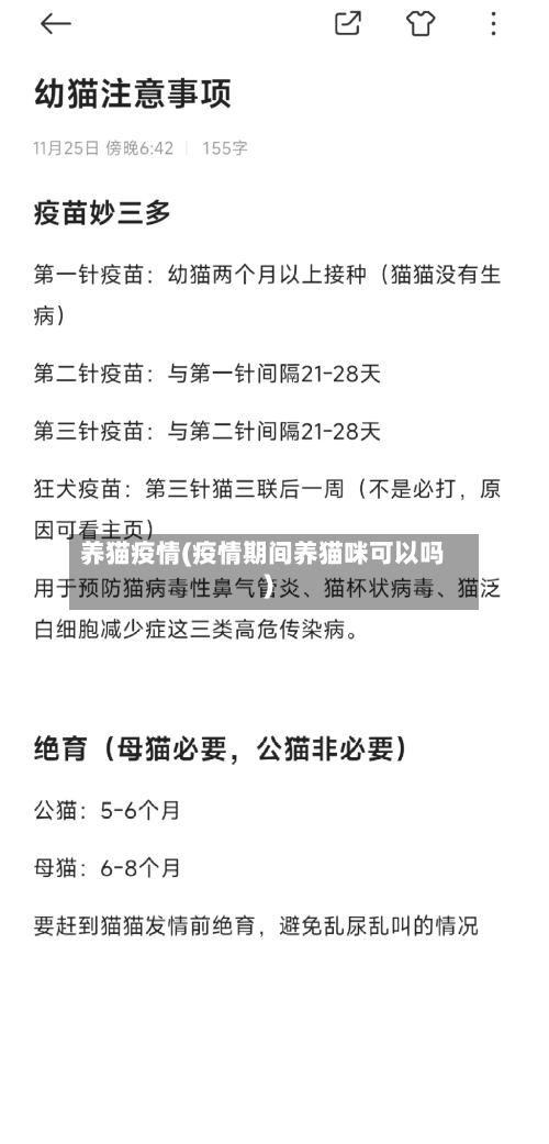 养猫疫情(疫情期间养猫咪可以吗)-第3张图片