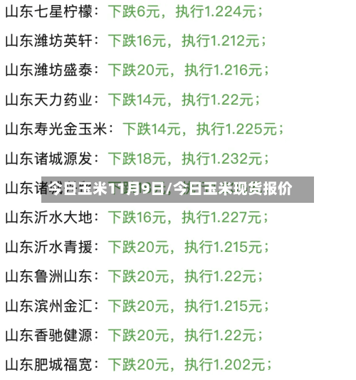 今日玉米11月9日/今日玉米现货报价-第1张图片