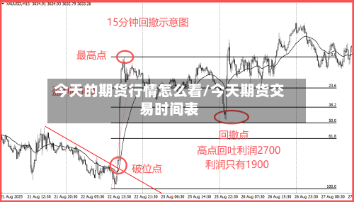 今天的期货行情怎么看/今天期货交易时间表-第1张图片