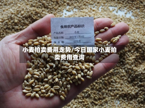 小麦拍卖费用走势/今日国家小麦拍卖费用查询