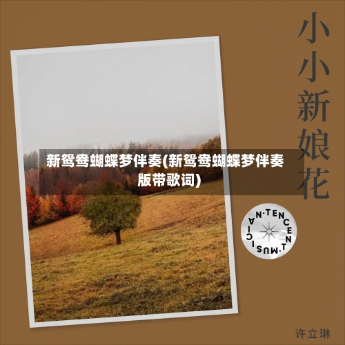 新鸳鸯蝴蝶梦伴奏(新鸳鸯蝴蝶梦伴奏版带歌词)