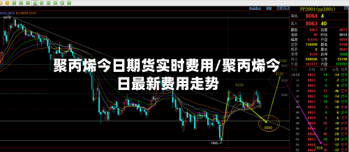 聚丙烯今日期货实时费用/聚丙烯今日最新费用走势