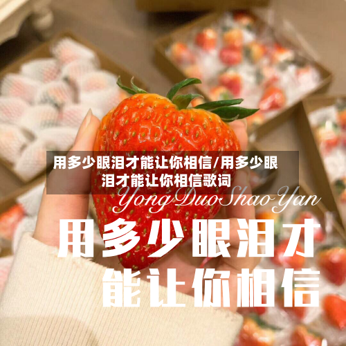 用多少眼泪才能让你相信/用多少眼泪才能让你相信歌词-第2张图片