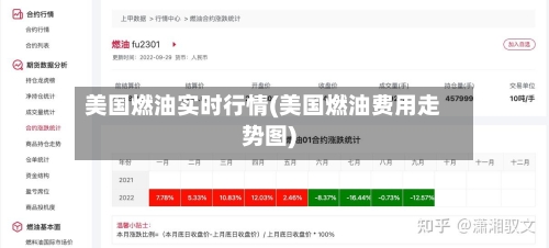 美国燃油实时行情(美国燃油费用走势图)