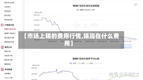 【市场上锡的费用行情,锡现在什么费用】-第2张图片