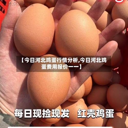 【今日河北鸡蛋行情分析,今日河北鸡蛋费用报价一一】-第3张图片