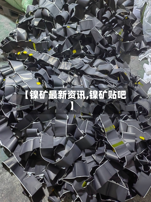 【镍矿最新资讯,镍矿贴吧】-第2张图片