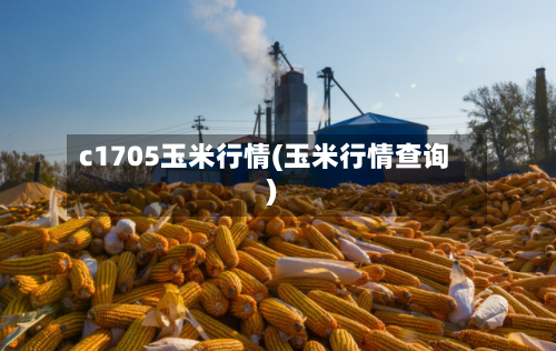 c1705玉米行情(玉米行情查询)