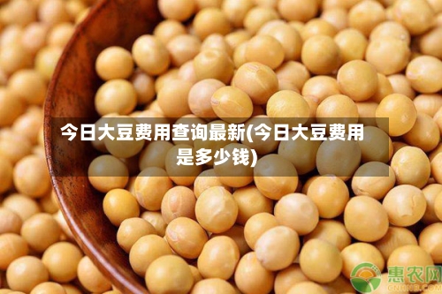 今日大豆费用查询最新(今日大豆费用是多少钱)