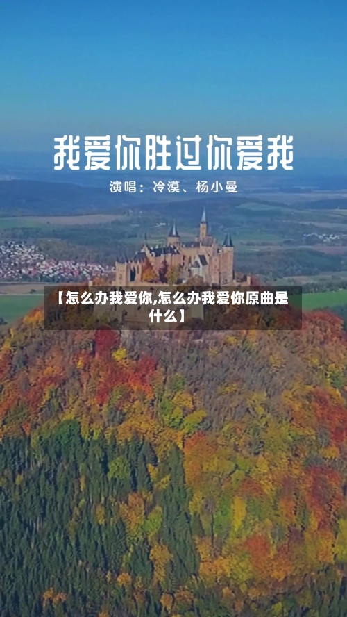 【怎么办我爱你,怎么办我爱你原曲是什么】