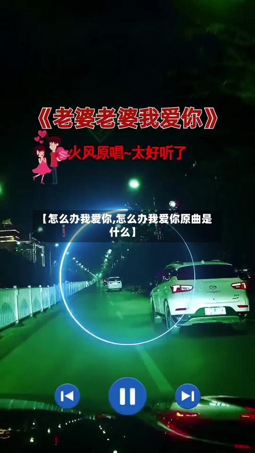 【怎么办我爱你,怎么办我爱你原曲是什么】-第2张图片