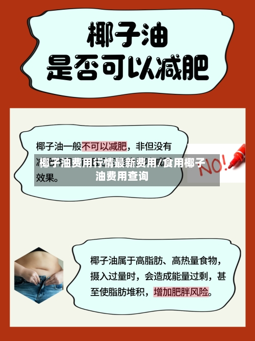 椰子油费用行情最新费用/食用椰子油费用查询