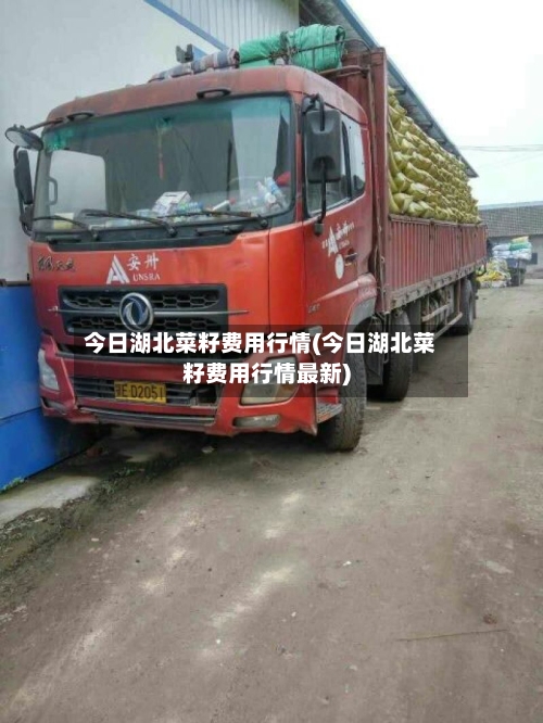 今日湖北菜籽费用行情(今日湖北菜籽费用行情最新)-第3张图片