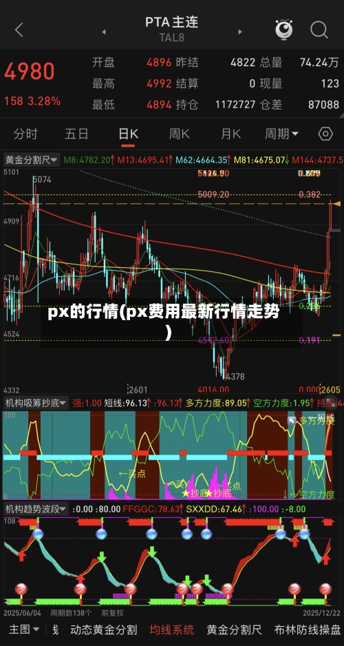 px的行情(px费用最新行情走势)