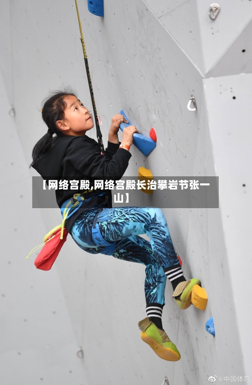 【网络宫殿,网络宫殿长治攀岩节张一山】-第2张图片