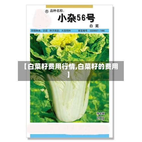 【白菜籽费用行情,白菜籽的费用】