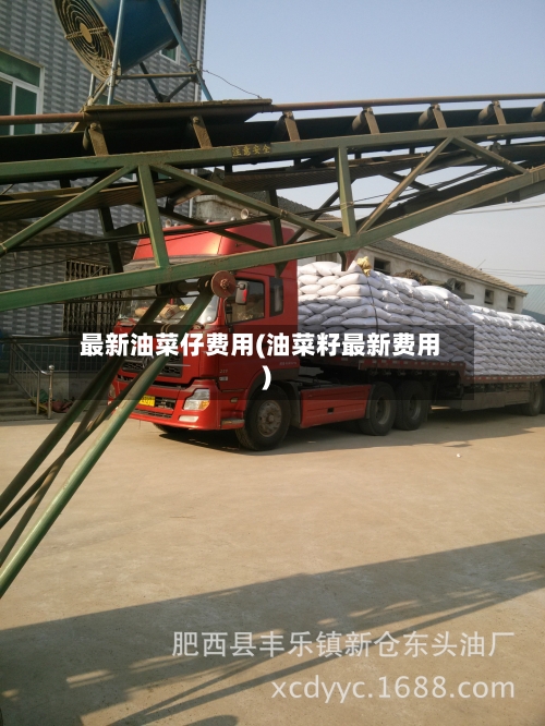 最新油菜仔费用(油菜籽最新费用)