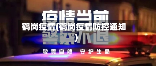 鹤岗疫情(鹤岗疫情防控通知)