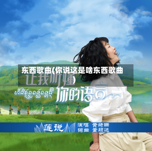 东西歌曲(你说这是啥东西歌曲)
