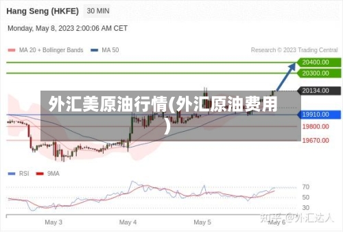 外汇美原油行情(外汇原油费用)-第2张图片