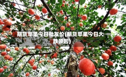 期货苹果今日批发价(期货苹果今日大跌原因)-第3张图片