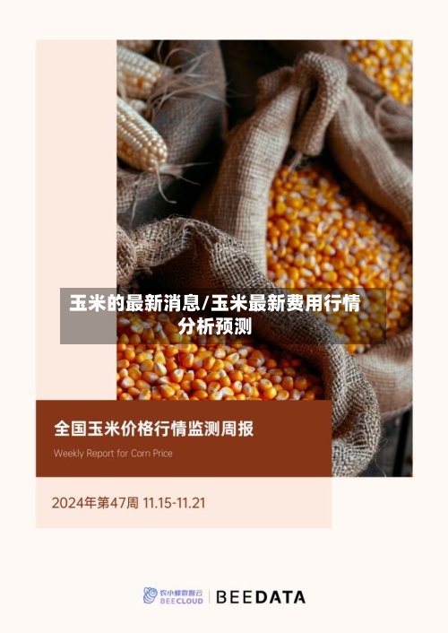 玉米的最新消息/玉米最新费用行情分析预测-第2张图片