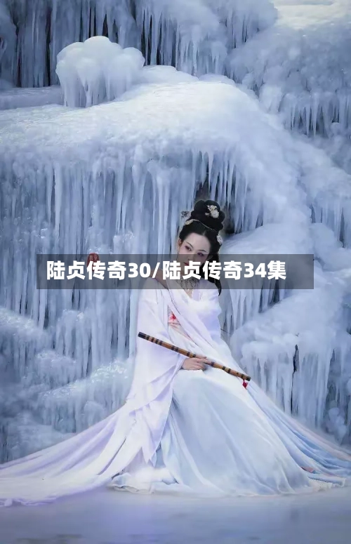 陆贞传奇30/陆贞传奇34集-第1张图片