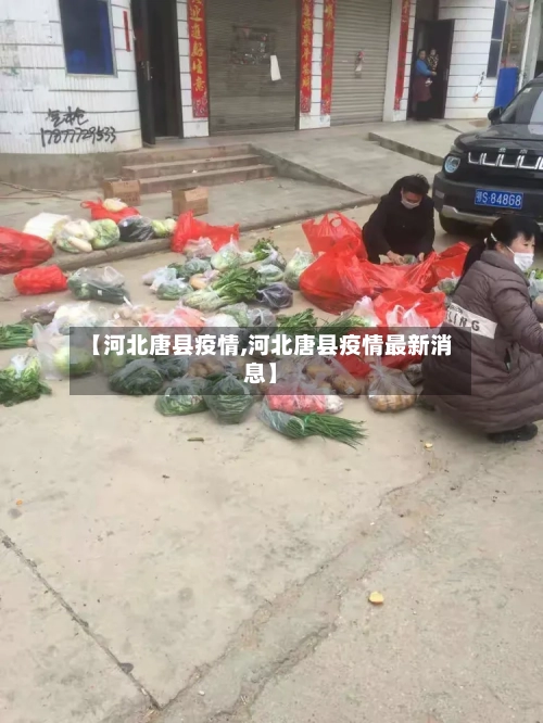 【河北唐县疫情,河北唐县疫情最新消息】-第1张图片