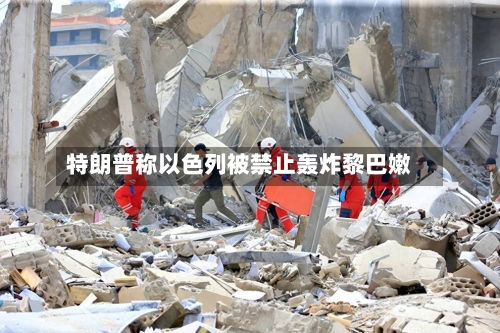 特朗普称以色列被禁止轰炸黎巴嫩-第2张图片