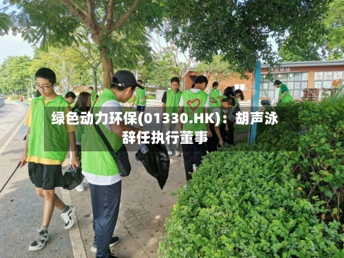 绿色动力环保(01330.HK)：胡声泳辞任执行董事-第1张图片