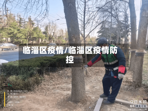 临淄区疫情/临淄区疫情防控-第1张图片