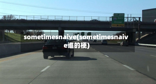 sometimesnaive(sometimesnaive谁的梗)-第1张图片