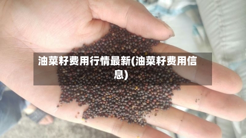 油菜籽费用行情最新(油菜籽费用信息)-第1张图片