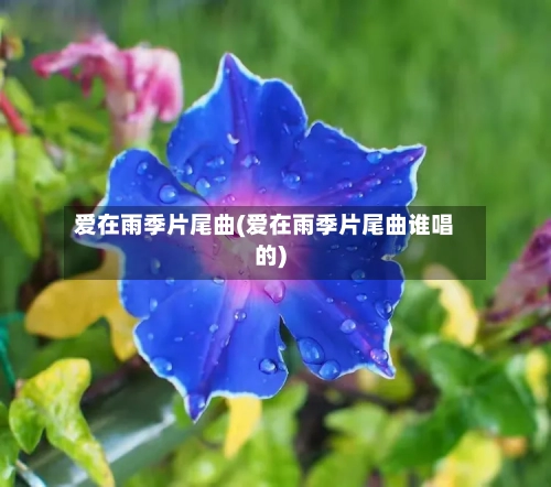 爱在雨季片尾曲(爱在雨季片尾曲谁唱的)-第3张图片