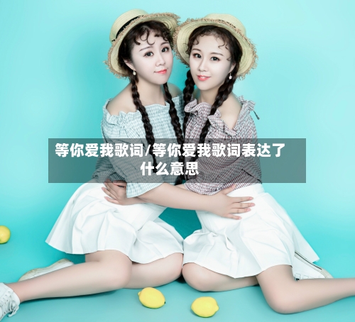 等你爱我歌词/等你爱我歌词表达了什么意思-第1张图片