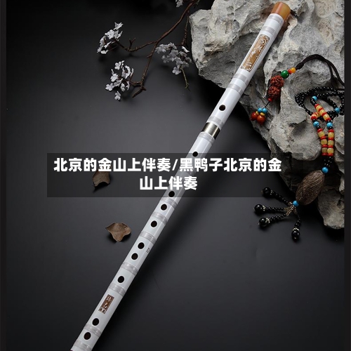 北京的金山上伴奏/黑鸭子北京的金山上伴奏-第2张图片