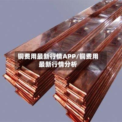 铜费用最新行情APP/铜费用最新行情分析-第1张图片