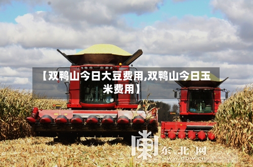 【双鸭山今日大豆费用,双鸭山今日玉米费用】-第3张图片